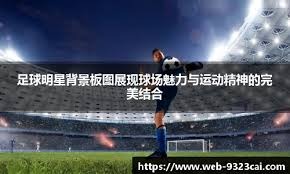 [欧冠]国际十大候选：巴黎圣日耳曼首夺欧冠冠军